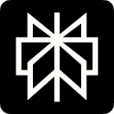 Perplexity AI Craft icon